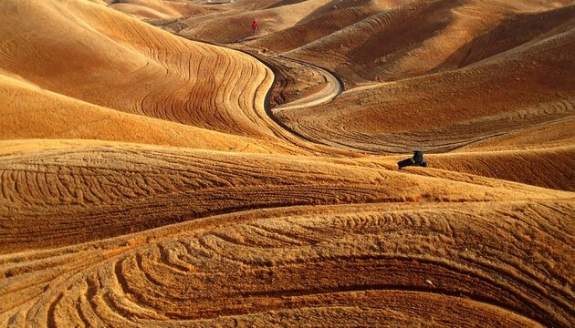 Rolling golden hills are bisected by a road, a solitary vehicle parked. Agricultural land with harvest furrows