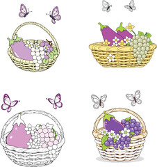 Different types of fruits vector illustration concept