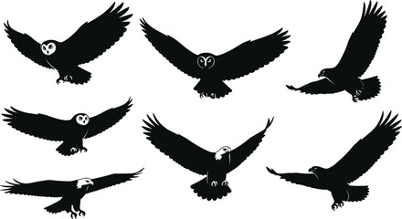 Flying bird silhouettes, eagle and owl vector, wildlife illustration, black wings spread, predator flight pose, nature animal graphic design