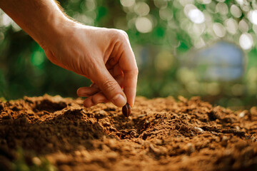 Hand Planting Seed in Fertile Soil Symbolizing Growth and Sustainability Concept