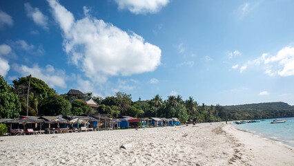 tropical beach with palm trees