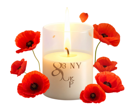 Floating Red Poppies with Candle Light — Peace and Remembrance Concept PNG