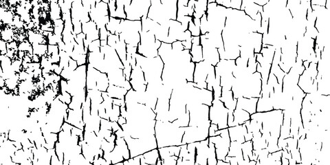 Cracked barren desert earth on transparent white background. Crack concrete white wall or Cement wall background. Broken wall background. Distressed paint crack texture, vector illustration, grunge 