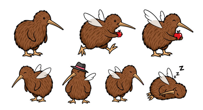 Kiwi Bird」の写真素材 | 64,553件の無料イラスト画像 | Adobe Stock