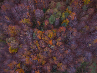 Aerial view from a drone of the mountain and forest landscape in autumn in the Collados del Asón Natural Park. Cantabria. Spain. Europe