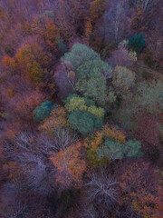 Aerial view from a drone of the mountain and forest landscape in autumn in the Collados del Asón Natural Park. Cantabria. Spain. Europe