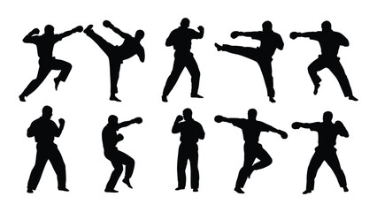 Martial arts fighters silhouettes isolated on transparent background, Vector