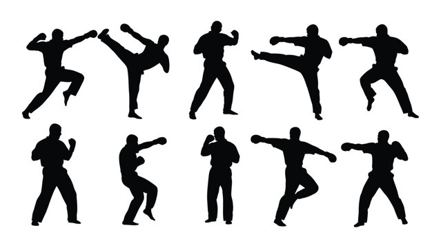 Martial arts fighters silhouettes isolated on transparent background, Vector