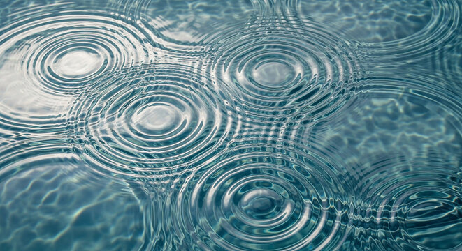 Ripples on the surface of water created by raindrops impacting the water creating concentric circles
