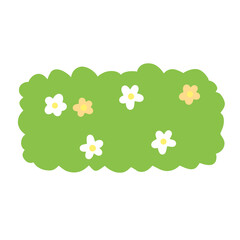 daisy flowers and ladybug