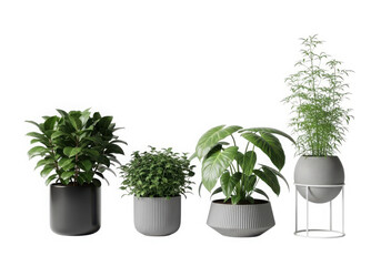 Diverse collection of modern potted green indoor houseplants.