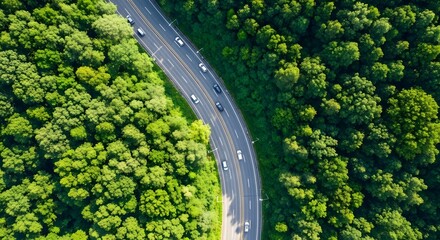 Aerial view of road winding through lush green forest on sunny day