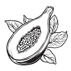 hand drawn illustration of papaya