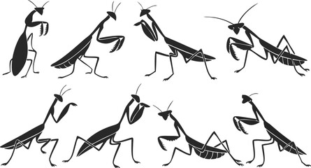 Dynamic praying mantis silhouettes in various poses for scientific illustration or nature study, originally a vector perfect for scalable design use