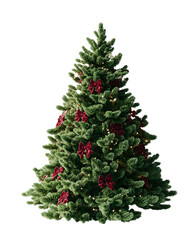 Fototapeta premium Luxurious Christmas Tree with Burgundy Accents 