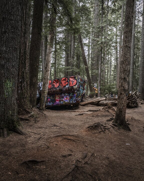 View of a graffiti-covered trainwreck nestled amid towering trees and exposed roots, a forest path winding through the serene landscape, Whistler, British Columbia, Canada.