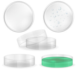 dish petri for chemical and biological research cartoon stock vector illustration isolated on white background