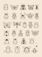 Highly detailed vector illustration of multiple insect species in line art style, perfect for biology posters or pattern designs.