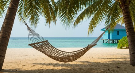 Hammock strung between palm trees on a tropical beach paradise day