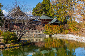 日本の風景・秋　岡山県岡山市　普賢院