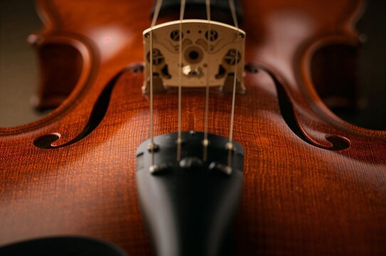 Musical instrument wood grain texture background.