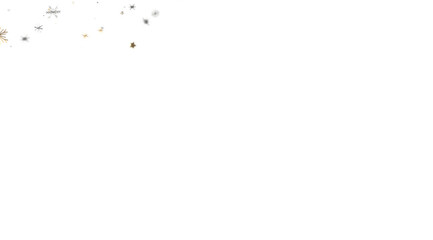 Perfect for winter holidays, celebrations, or elegant designs.  Adds sparkle and sophistication.