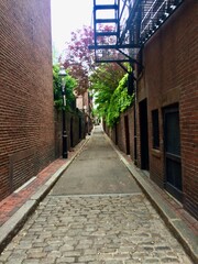 A charming narrow brick alleyway lined with lush green ivy and red maple trees, with vintage street lamps and doorways