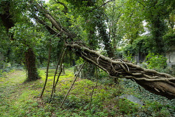 Zabytkowy cmentarz żydowski na południu Polski © Magdalena
