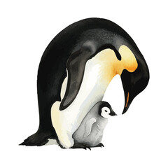 Vector watercolor Emperor Penguin / 水彩テイストのコウテイペンギンイラスト