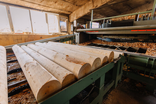 Wooden logs are stacked on a conveyor belt in a sawmill, with sunlight streaming through windows, showcasing the lumber processing and industrial environment