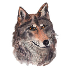 Detailed watercolor portrait of a wolf head. Artistic representation of wild animal suitable for nature themes.