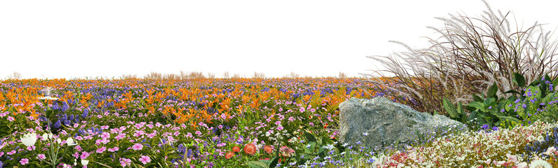 3D render foreground of a flower garden and flower field on a transparent background