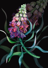 Vibrant Fritillaria Bloom on a Dark Canvas
