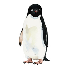 Vector watercolor Adelie penguin / 水彩テイストのアデリーペンギンイラスト