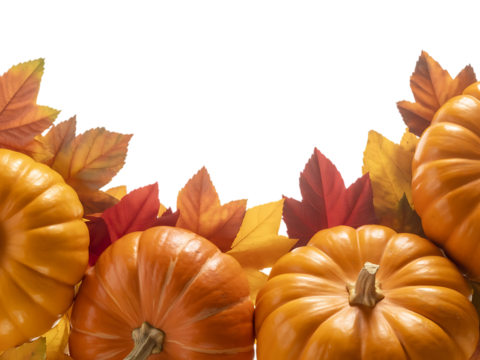 Pumpkin and leaves border with festive streamers isolated on transparent background