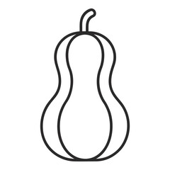 vector illustration of a vegetable marrow