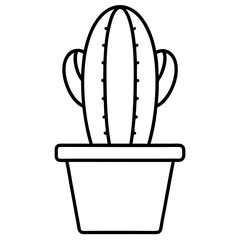 cactus in a pot