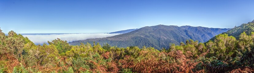 Valley with clouds and forest on Madeira island