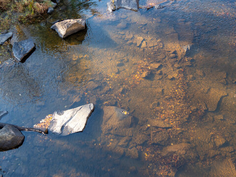 Overhead view of a shallow portion of a stream.