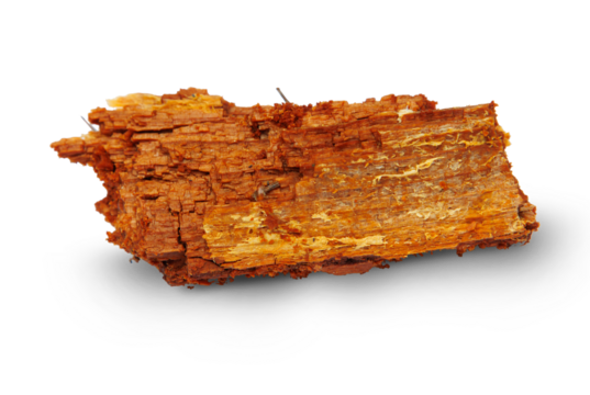 Rotten wood isolated on transparent background