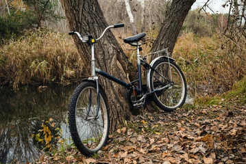 Fototapeten Fahrrad old bicycle leaning against a tree trunk by the water in autumn  © Родион Бондаренко