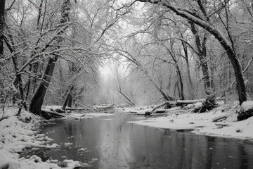 Winter In Indiana: Frozen Creek Scene with Black-and-White Landscape in Marott Park, Indianapolis
