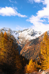 Autumn landscape in the Alps