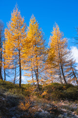 Fototapeta premium Autumn landscape in the Alps