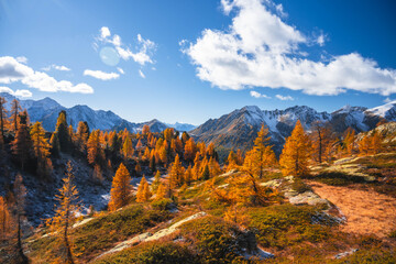 Fototapeta premium Autumn landscape in the Alps