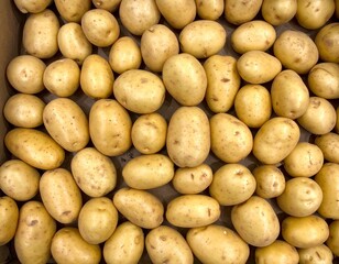 Top view of multiple potatoes stacked closely on a tray, highlighting natural texture and organic shapes in a simple food arrangement.