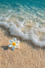 Tropical Beach Scene with Flower and Gentle Waves