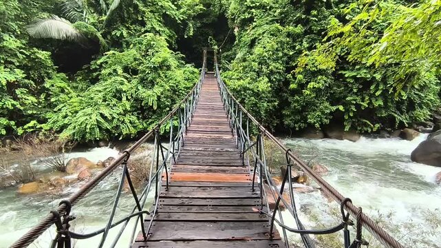 hanging rope suspension bridge footbridge across river in forest