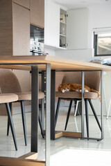Adorable ginger cat peacefully sleeps on a brown chair in a modern kitchen with wooden cabinets and bright natural light.

