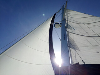 Fototapeta premium Close-up view of white sails on a sailing boat against a clear blue sky. Sunlight shines through the sails, creating a bright and dynamic nautical scene. The image captures the elegance and power of w